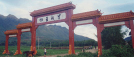 梧州天國(guó)四王故里天氣