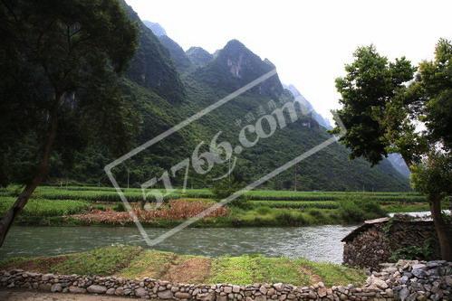 河池同樂鎮(zhèn)生態(tài)新村天氣