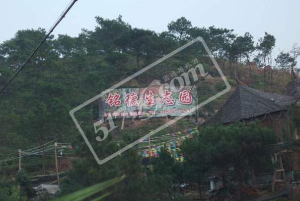 欽州銘德農業生態園天氣