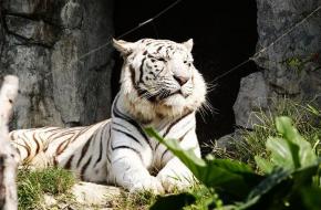 廣州香江野生動物世界天氣