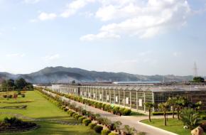 南寧市八桂田園景區天氣