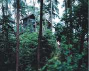 重慶歌樂山天氣