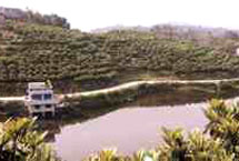 渝北區(qū)鹿山觀光農(nóng)業(yè)示范村天氣