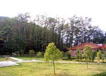 保康官山森林公園天氣