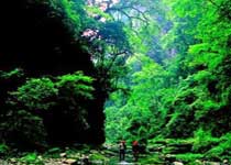 棗陽青龍山熊河風景區天氣