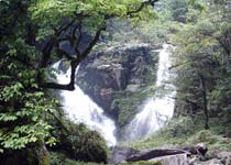 張家界八大公山自然保護區天氣