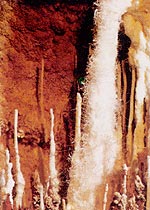 巴南姜家溶洞風景區(qū)天氣