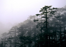 峨眉山瓦屋山國(guó)家森林公園天氣