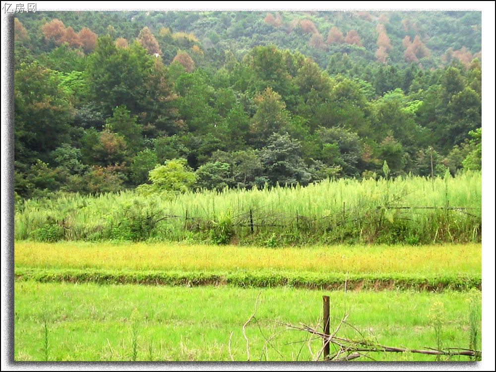 黃陂勝天農(nóng)莊天氣
