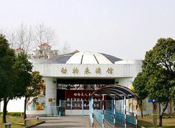 武漢動物園天氣