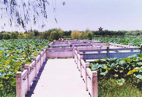 荊州洪湖藍(lán)田生態(tài)旅游區(qū)天氣