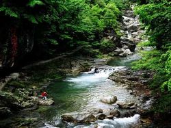 神農(nóng)架龍門河天氣