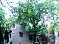 株洲仙庾風(fēng)景天氣