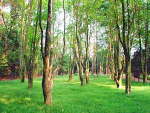 湘潭東臺(tái)山國家森林公園天氣