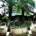 岳陽絕頂五井天氣