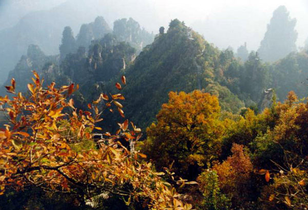 張家界天臺景區天氣