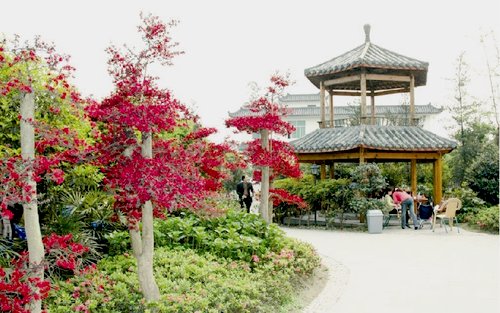 成都郫縣友愛鎮(zhèn)農(nóng)科村天氣