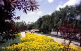 貴陽濱河公園天氣
