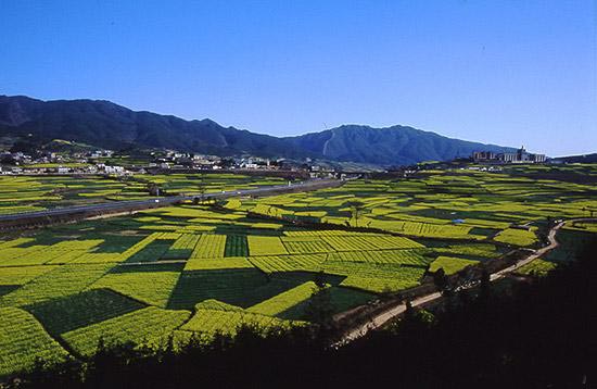 玉溪曲陀關(guān)天氣
