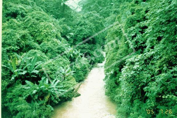 紅河個舊綠水河熱帶雨林旅游度假區天氣