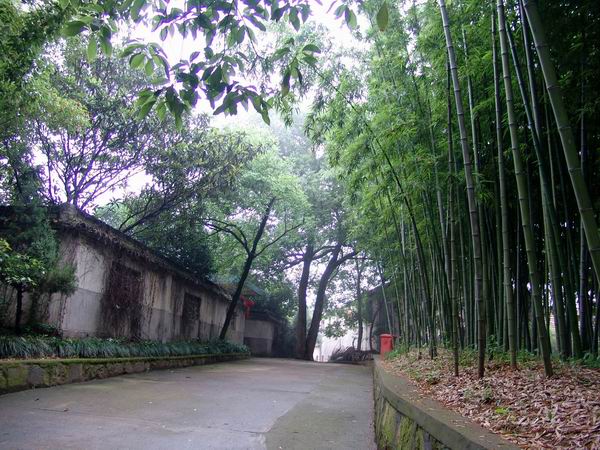 海東互助縣古城村天氣