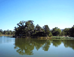 惠農避暑山莊羅家園天氣