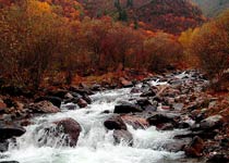 互助北山國(guó)家森林公園天氣