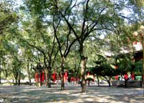 長安革命公園天氣