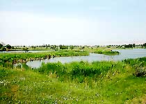 合陽洽川風(fēng)景名勝區(qū)天氣