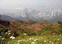 西貢飛鵝山觀景臺天氣
