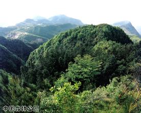 萬州鐵峰山國家森林公園天氣