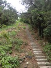泰順天關(guān)山天氣