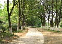 樅陽(yáng)菱湖風(fēng)景區(qū)天氣