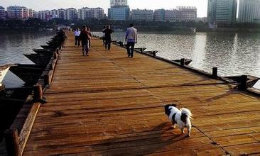 贛州古浮橋天氣