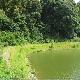 福州旗山國(guó)家森林公園天氣