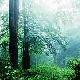 武平梁野山國家自然保護區天氣