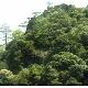 南平湛廬山天氣