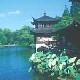 西湖曲院風荷天氣