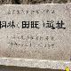 淄博桐林田旺遺址天氣
