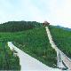 信陽新縣江淮嶺生態(tài)園天氣