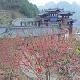 清新桃源生態旅游區天氣