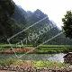 河池同樂鎮生態新村天氣