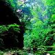 棗陽青龍山熊河風景區天氣