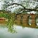成都平樂古鎮(zhèn)天氣