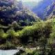 綿陽(yáng)王朗自然保護(hù)區(qū)天氣