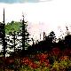 樂山大風頂天氣
